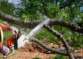 Best Aeration Services  in White Plains, NY