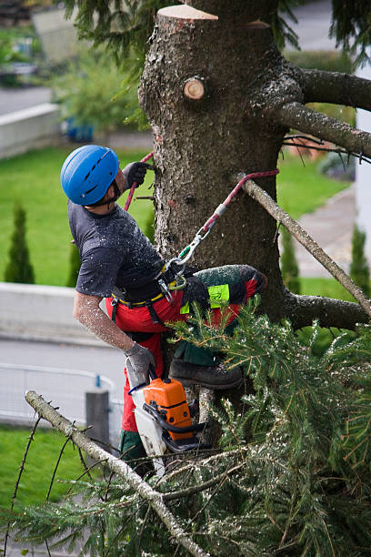 Best Lawn Drainage Solutions  in White Plains, NY